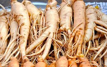 Ginseng root will help stimulate a man's sexual activity